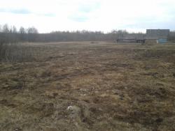 post-33499-0-93015300-1428408459_thumb.j