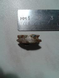 post-33871-0-27197700-1429817117_thumb.j