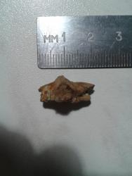 post-33871-0-55749500-1429817132_thumb.j