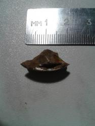 post-33871-0-57196000-1429817122_thumb.j