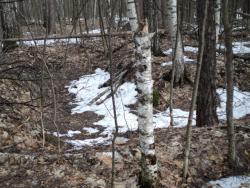 post-33940-0-32636400-1429116997_thumb.j