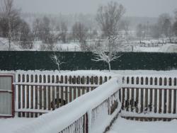 post-33940-0-94755000-1429590815_thumb.j