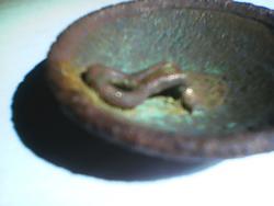 post-33993-0-41821800-1428510490_thumb.j