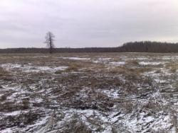 post-4123-0-53625400-1429375883_thumb.jp