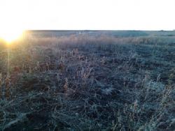 post-5088-0-05739500-1429457857_thumb.jp