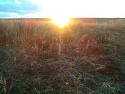 post-5088-0-52134100-1429503427_thumb.jp