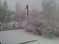 post-5088-0-54143000-1429459380_thumb.jp