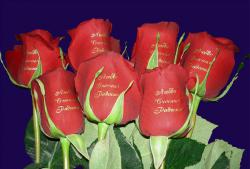 post-5088-0-65154300-1429702431_thumb.jp