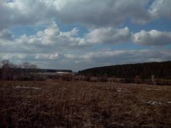 post-6726-0-14644700-1428418782_thumb.jp