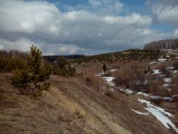 post-6726-0-18125500-1428418771_thumb.jp