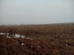 post-6726-0-35325100-1428249492_thumb.jp