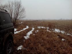 post-6726-0-41800600-1428249489_thumb.jp