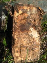 post-6890-0-20202700-1429470436_thumb.jp