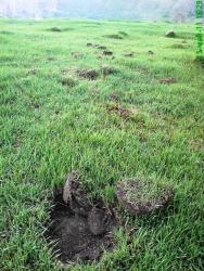 post-1788-0-07879600-1305473336_thumb.jp