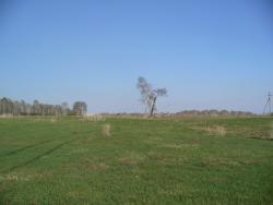 post-1788-0-21132000-1306344543_thumb.jp