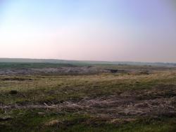 post-1788-0-27265200-1306344362_thumb.jp