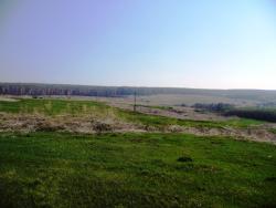 post-1788-0-34965900-1306344272_thumb.jp