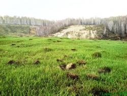 post-1788-0-48807200-1305473296_thumb.jp