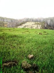 post-1788-0-50209100-1305473283_thumb.jp