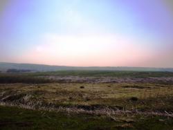 post-1788-0-71745900-1306344343_thumb.jp