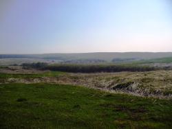 post-1788-0-81046300-1306344325_thumb.jp