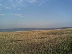 post-2369-0-01064800-1304431200_thumb.jp