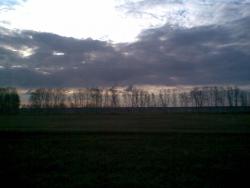 post-2369-0-20381700-1304429419_thumb.jp