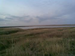 post-2369-0-48170700-1304431383_thumb.jp