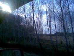 post-2369-0-56755100-1304430826_thumb.jp