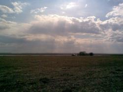 post-2369-0-59791800-1304431233_thumb.jp