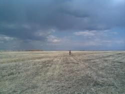 post-2369-0-70396300-1304431221_thumb.jp