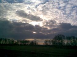 post-2369-0-80171800-1304429481_thumb.jp