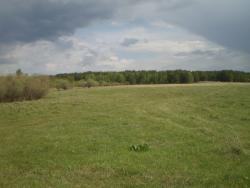 post-2597-0-67205300-1306079931_thumb.jp