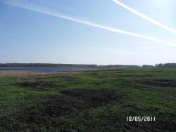 post-2817-0-71907300-1305303396_thumb.jp