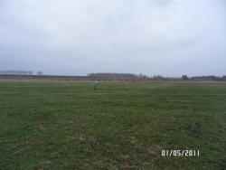 post-2817-0-76724100-1304259619_thumb.jp