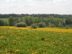 post-4170-0-00623200-1306402198_thumb.jp