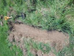 post-4170-0-07555000-1306403251_thumb.jp