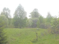 post-4170-0-11246200-1306401281_thumb.jp