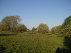 post-4170-0-16438000-1306401540_thumb.jp