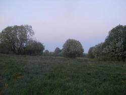 post-4170-0-21227500-1306401896_thumb.jp