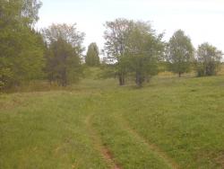 post-4170-0-27561000-1306401236_thumb.jp