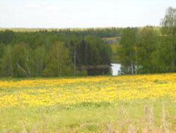 post-4170-0-33478000-1306402877_thumb.jp