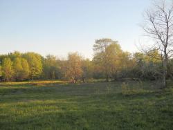 post-4170-0-37496300-1306401557_thumb.jp