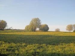 post-4170-0-38816100-1306401575_thumb.jp