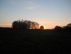 post-4170-0-68342100-1306401909_thumb.jp