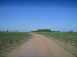 post-4170-0-69819800-1306400931_thumb.jp