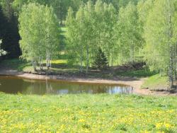 post-4170-0-71151400-1306402683_thumb.jp