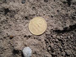 post-4170-0-82379300-1306403583_thumb.jp