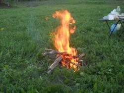 post-4170-0-86504500-1306401746_thumb.jp