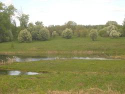 post-4170-0-88160100-1306401212_thumb.jp